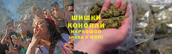 прущие грибы Навашино