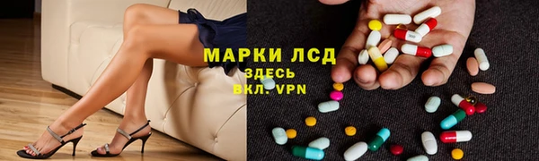 прущие грибы Навашино