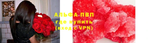 ПСИЛОЦИБИНОВЫЕ ГРИБЫ Лабытнанги