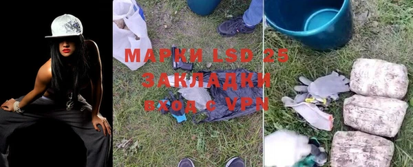 прущие грибы Навашино