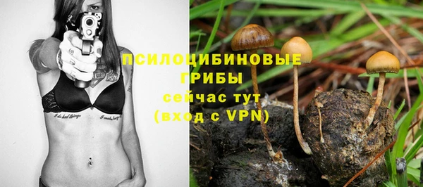 прущие грибы Навашино