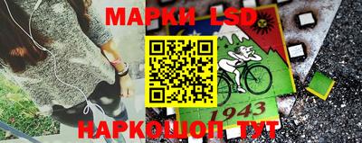крисы Аргун