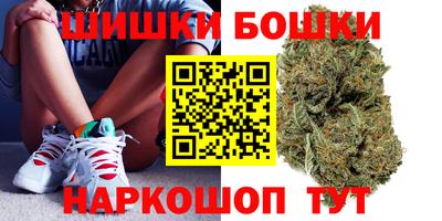 крисы Аргун