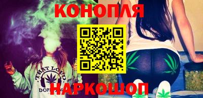 крисы Аргун
