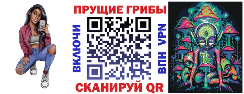 как найти   Кунгур  Псилоцибиновые грибы GOLDEN TEACHER 