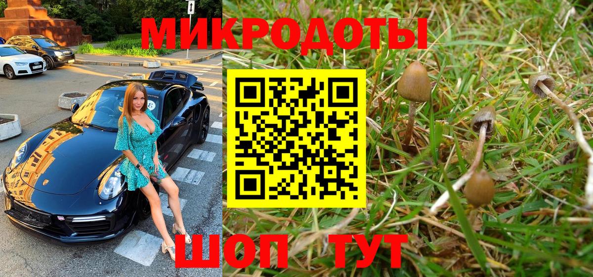 Галлюциногенные грибы MAGIC MUSHROOMS Кунгур